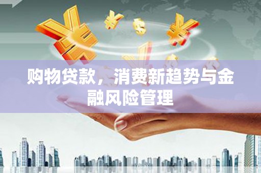 崇仁购物贷款，消费新趋势与金融风险管理