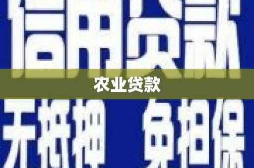 崇仁农业贷款