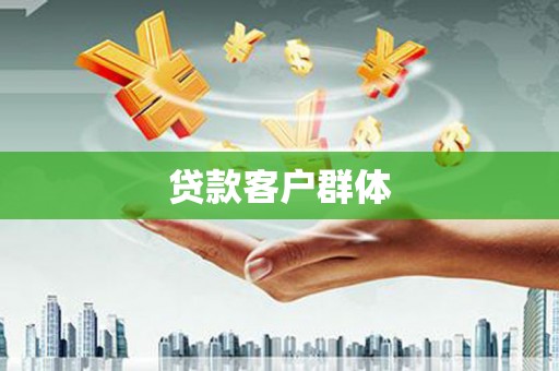 崇仁贷款客户群体