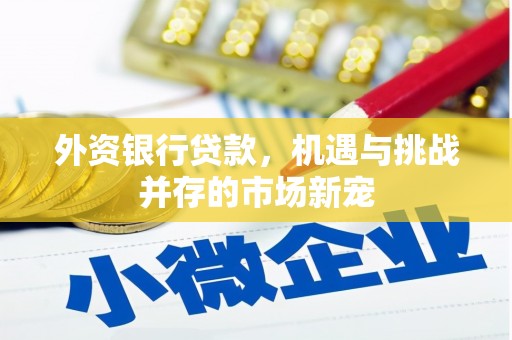 崇仁外资银行贷款，机遇与挑战并存的市场新宠