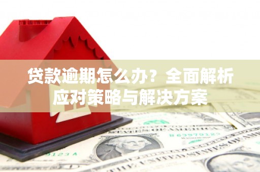 崇仁贷款逾期怎么办？全面解析应对策略与解决方案