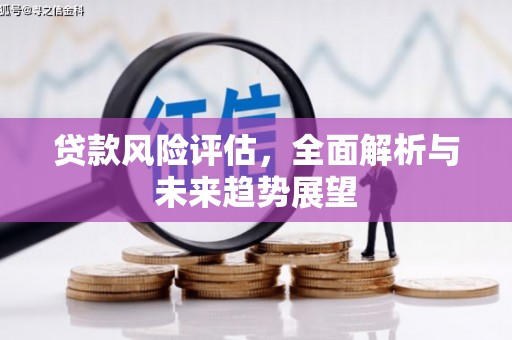 崇仁贷款风险评估，全面解析与未来趋势展望