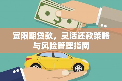 崇仁宽限期贷款，灵活还款策略与风险管理指南
