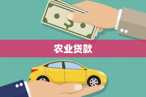 崇仁农业贷款