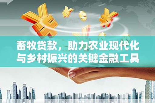 崇仁畜牧贷款，助力农业现代化与乡村振兴的关键金融工具