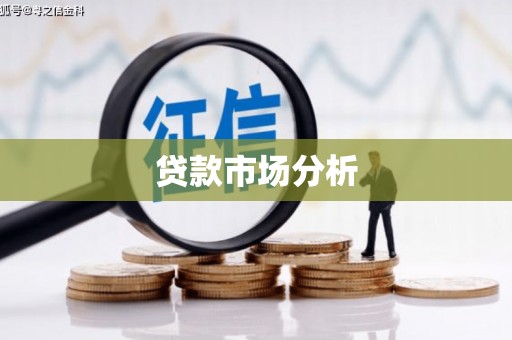 崇仁贷款市场分析