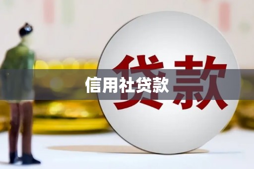 崇仁信用社贷款