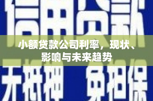 崇仁小额贷款公司利率，现状、影响与未来趋势
