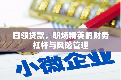 崇仁白领贷款，职场精英的财务杠杆与风险管理