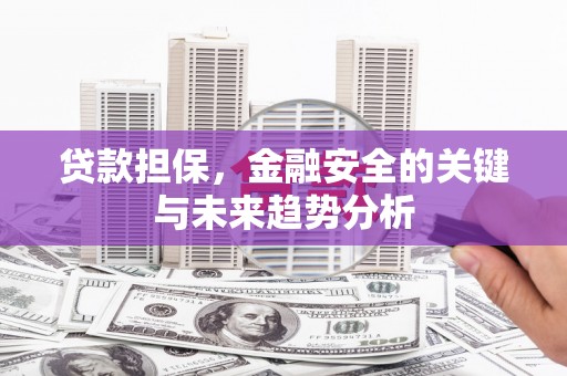 崇仁贷款担保，金融安全的关键与未来趋势分析