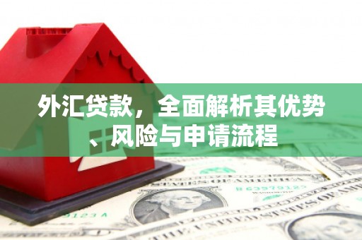 崇仁外汇贷款，全面解析其优势、风险与申请流程