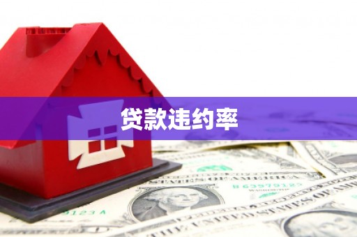 崇仁贷款违约率