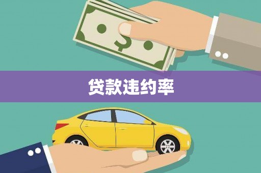 崇仁贷款违约率