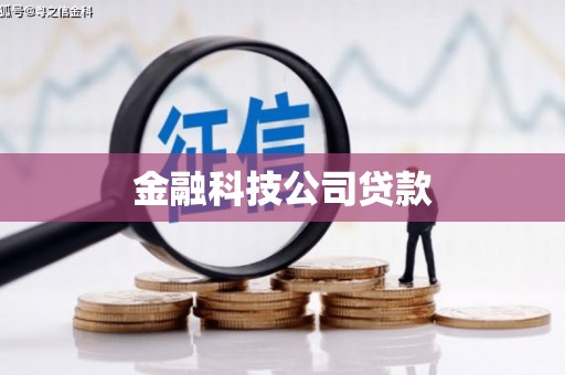 崇仁金融科技公司贷款