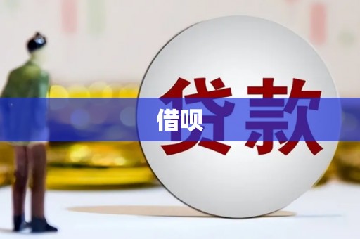 崇仁借呗