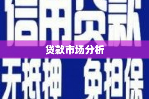 崇仁贷款市场分析