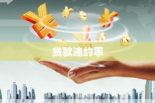 崇仁贷款违约率