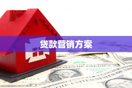 崇仁贷款营销方案