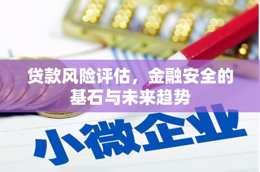 崇仁贷款风险评估，金融安全的基石与未来趋势