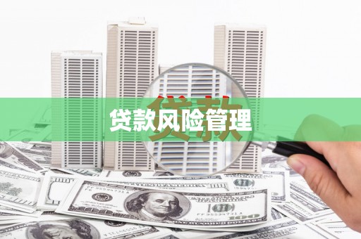 崇仁贷款风险管理