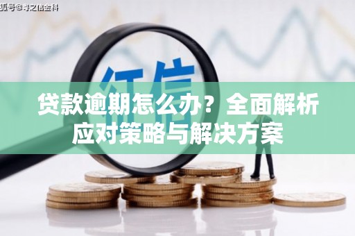 崇仁贷款逾期怎么办？全面解析应对策略与解决方案