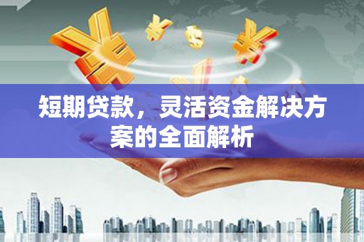 崇仁短期贷款，灵活资金解决方案的全面解析