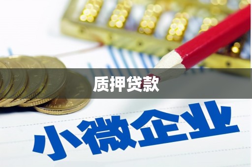 崇仁质押贷款