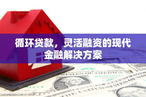 崇仁循环贷款，灵活融资的现代金融解决方案
