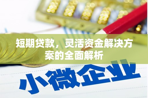 崇仁短期贷款，灵活资金解决方案的全面解析