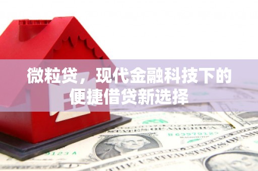崇仁微粒贷，现代金融科技下的便捷借贷新选择