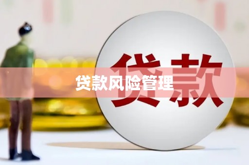 崇仁贷款风险管理