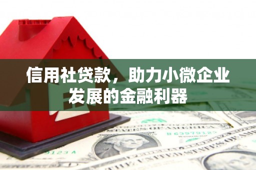 崇仁信用社贷款，助力小微企业发展的金融利器