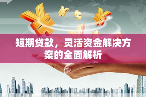 崇仁短期贷款，灵活资金解决方案的全面解析