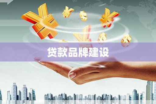 崇仁贷款品牌建设