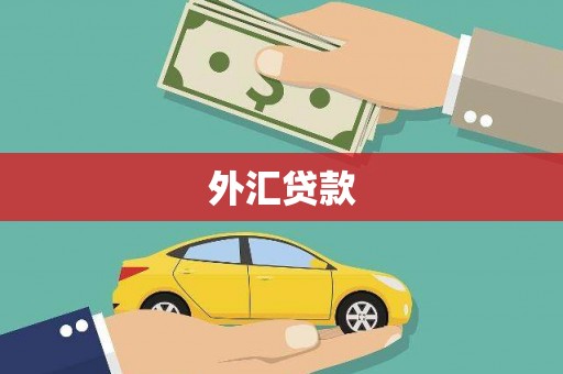 崇仁外汇贷款