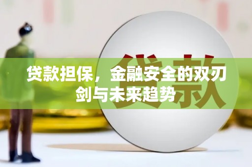 崇仁贷款担保，金融安全的双刃剑与未来趋势