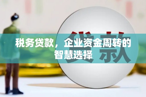 崇仁税务贷款，企业资金周转的智慧选择
