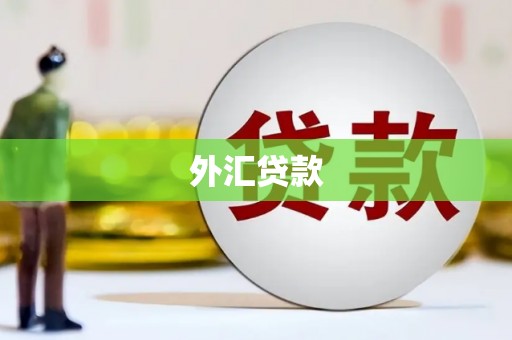 崇仁外汇贷款