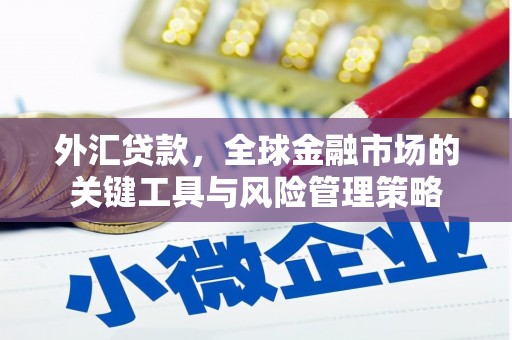 崇仁外汇贷款，全球金融市场的关键工具与风险管理策略