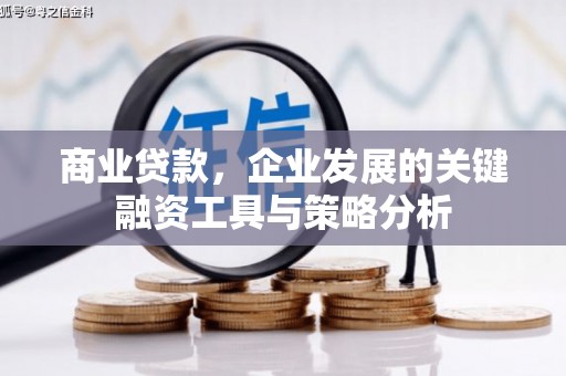 崇仁商业贷款，企业发展的关键融资工具与策略分析