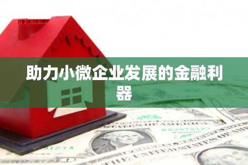 崇仁助力小微企业发展的金融利器