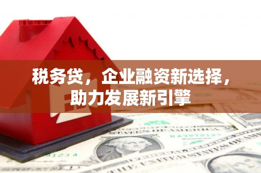 崇仁税务贷，企业融资新选择，助力发展新引擎