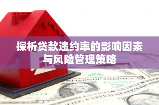 崇仁探析贷款违约率的影响因素与风险管理策略