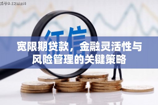 崇仁宽限期贷款，金融灵活性与风险管理的关键策略
