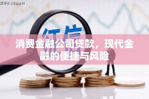 崇仁消费金融公司贷款，现代金融的便捷与风险
