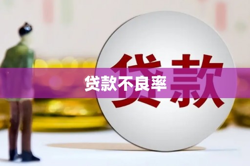 崇仁贷款不良率