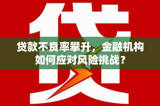 崇仁贷款不良率攀升，金融机构如何应对风险挑战？