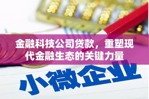 崇仁金融科技公司贷款，重塑现代金融生态的关键力量