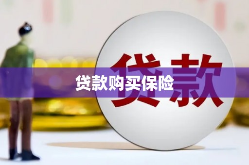 崇仁贷款购买保险