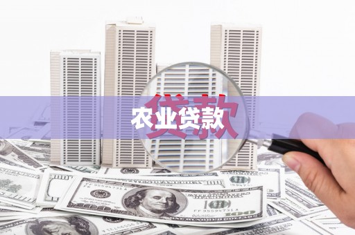 崇仁农业贷款